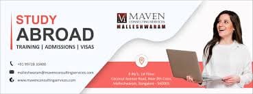 Maven Consulting Services Maven Consultancy Services photo 1